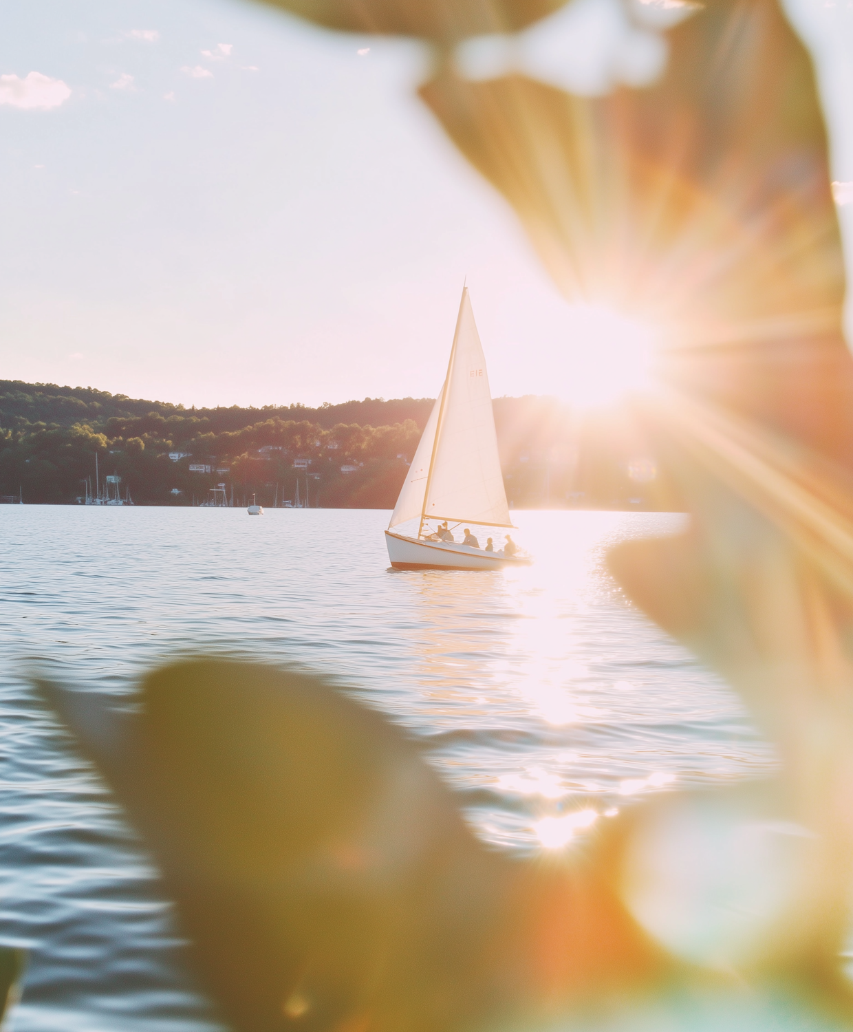 A sailboat on calm water at sunset